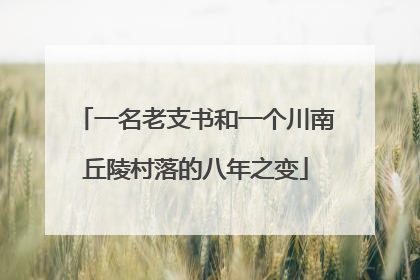 一名老支书和一个川南丘陵村落的八年之变