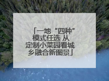 一地“四种” 模式任选 从定制小菜园看城乡融合新图景
