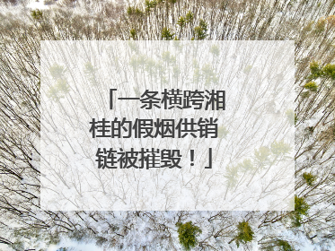 一条横跨湘桂的假烟供销链被摧毁！
