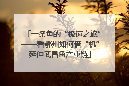 一条鱼的“极速之旅”——看鄂州如何借“机”延伸武昌鱼产业链