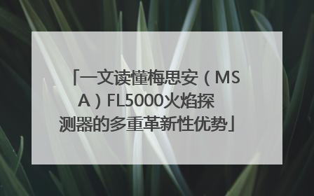 一文读懂梅思安（MSA）FL5000火焰探测器的多重革新性优势