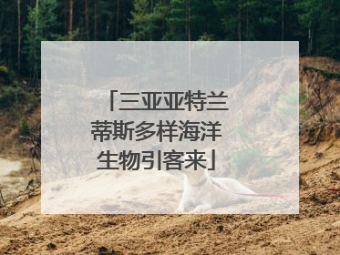 三亚亚特兰蒂斯多样海洋生物引客来