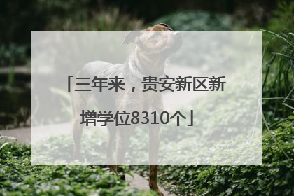 三年来，贵安新区新增学位8310个