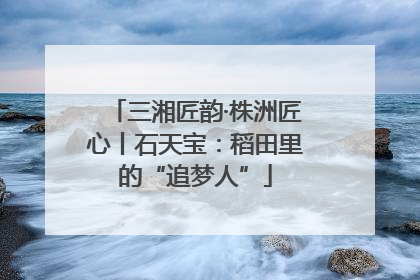 三湘匠韵·株洲匠心丨石天宝：稻田里的“追梦人”