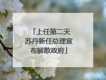 上任第二天 苏丹新任总理宣布解散政府