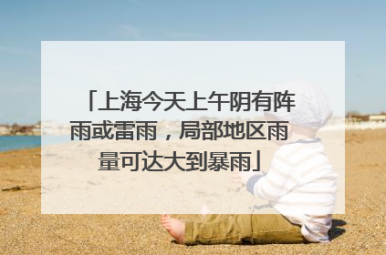 上海今天上午阴有阵雨或雷雨，局部地区雨量可达大到暴雨