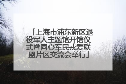 上海市浦东新区退役军人主题馆开馆仪式暨同心军民戎爱联盟片区交流会举行