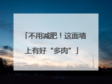 不用减肥！这面墙上有好“多肉”