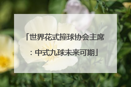 世界花式撞球协会主席：中式九球未来可期