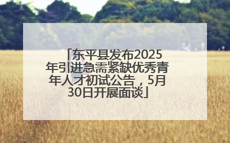 东平县发布2025年引进急需紧缺优秀青年人才初试公告，5月30日开展面谈