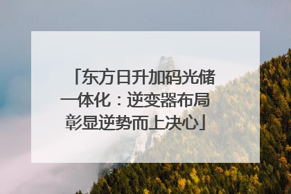 东方日升加码光储一体化：逆变器布局彰显逆势而上决心