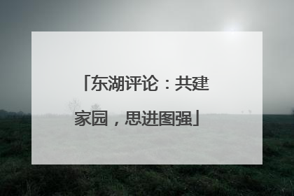 东湖评论：共建家园，思进图强