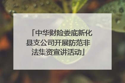 中华财险娄底新化县支公司开展防范非法集资宣讲活动