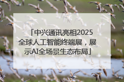 中兴通讯亮相2025全球人工智能终端展，展示AI全场景生态布局