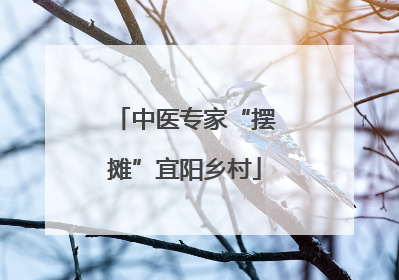 中医专家“摆摊”宜阳乡村