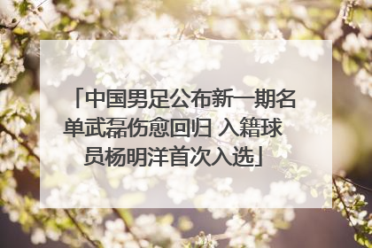 中国男足公布新一期名单武磊伤愈回归 入籍球员杨明洋首次入选