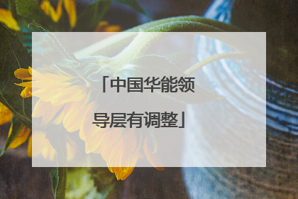 中国华能领导层有调整