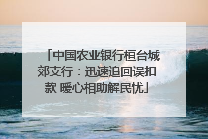 中国农业银行桓台城郊支行：迅速追回误扣款 暖心相助解民忧