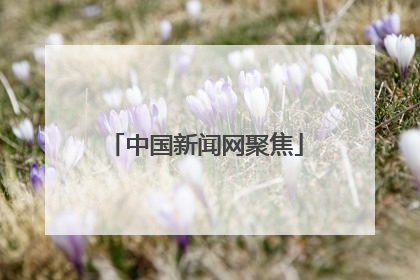 中国新闻网聚焦