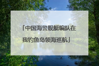 中国海警舰艇编队在我钓鱼岛领海巡航