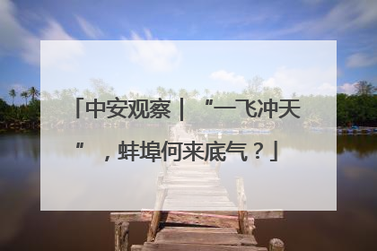 中安观察｜“一飞冲天”，蚌埠何来底气？