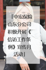 中宏保险山东分公司积极开展《信访工作条例》宣传月活动