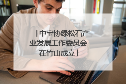 中宝协绿松石产业发展工作委员会在竹山成立
