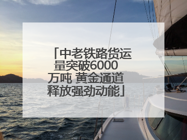 中老铁路货运量突破6000万吨 黄金通道释放强劲动能