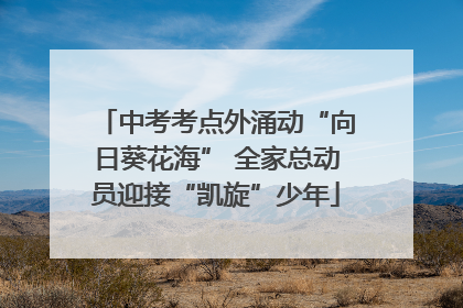 中考考点外涌动“向日葵花海” 全家总动员迎接“凯旋”少年