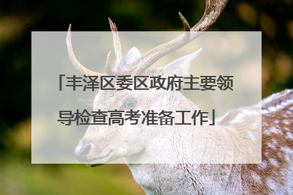 丰泽区委区政府主要领导检查高考准备工作