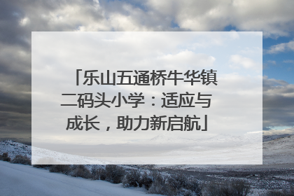 乐山五通桥牛华镇二码头小学：适应与成长，助力新启航