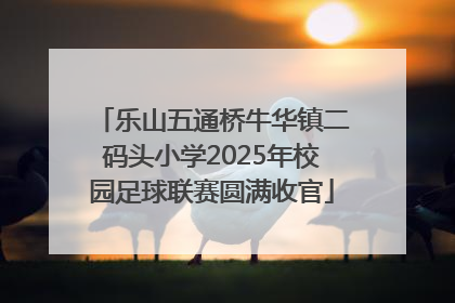 乐山五通桥牛华镇二码头小学2025年校园足球联赛圆满收官