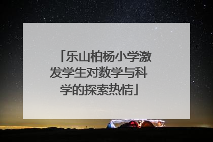 乐山柏杨小学激发学生对数学与科学的探索热情