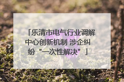 乐清市电气行业调解中心创新机制 涉企纠纷“一次性解决”