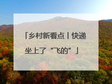 乡村新看点丨快递坐上了“飞的”