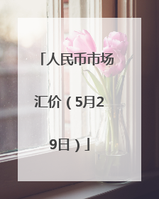 人民币市场汇价（5月29日）