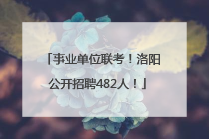 事业单位联考！洛阳公开招聘482人！