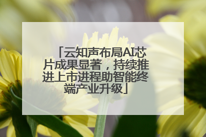 云知声布局AI芯片成果显著，持续推进上市进程助智能终端产业升级