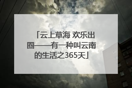 云上草海 欢乐出圈——有一种叫云南的生活之365天