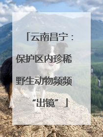 云南昌宁：保护区内珍稀野生动物频频“出镜”