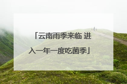 云南雨季来临 进入一年一度吃菌季