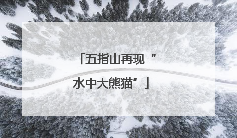 五指山再现“水中大熊猫”