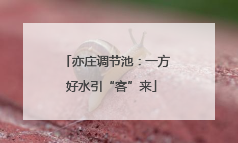 亦庄调节池：一方好水引“客”来
