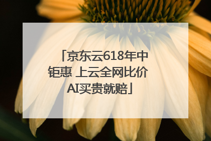 京东云618年中钜惠 上云全网比价 AI买贵就赔