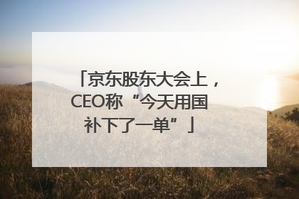 京东股东大会上，CEO称“今天用国补下了一单”