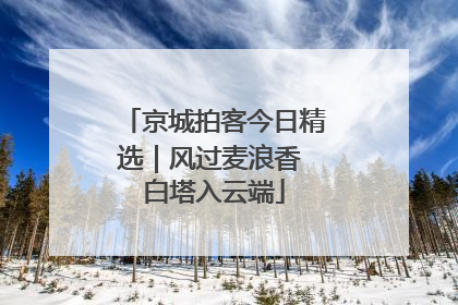 京城拍客今日精选｜风过麦浪香 白塔入云端