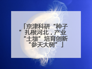 京津科研“种子”扎根河北，产业“土壤”培育创新“参天大树”