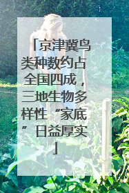 京津冀鸟类种数约占全国四成，三地生物多样性“家底”日益厚实