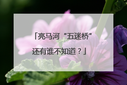 亮马河“五迷桥”还有谁不知道？