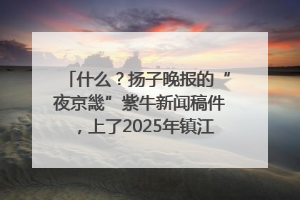 什么？扬子晚报的“夜京畿”紫牛新闻稿件，上了2025年镇江中考模拟卷！